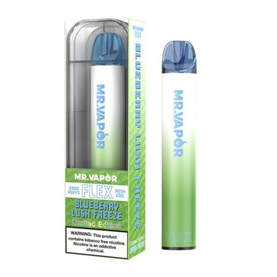 Mr. Vapor Flex - Disposable Vape - Lighter USA