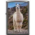 Zippo Lighter - Llama - Lighter USA