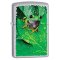 Zippo Lighter - Frog On Leaf Satin Chrome - Lighter USA