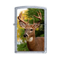 Zippo Lighter - Buck Street Chrome - Lighter USA