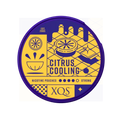 XQS Citrus Cooling 8mg Nicotine Pouches (5 Pack) -