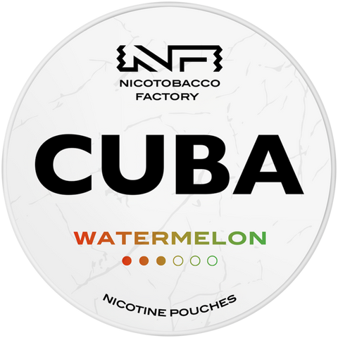 Cuba White Nicotine Pouches - Master Case