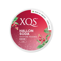 XQS Hallon Soda 8mg Nicotine Pouches (5 Pack) -