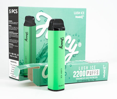 Juucy Model Xv2 Disposable Vape - 2200 Puffs - Lighter USA