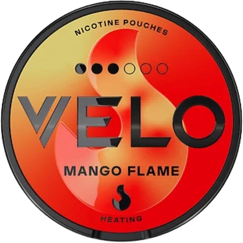 Velo UK Nicotine Pouches - Master Case