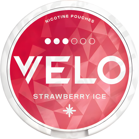 Velo UK Nicotine Pouches - Master Case