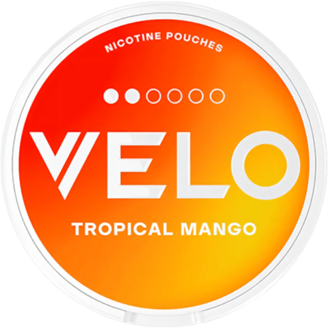 Velo UK Nicotine Pouches - Master Case
