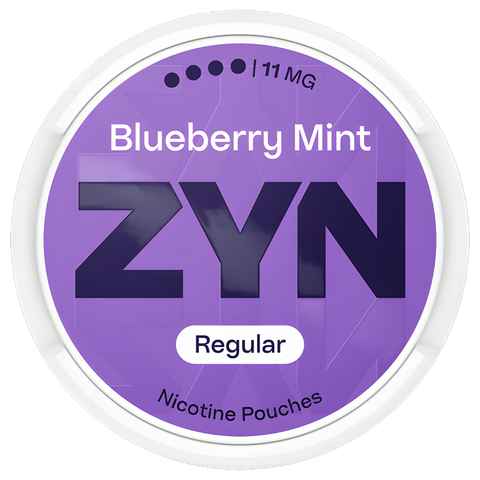Zyn Nicotine Pouches UK - Master Case